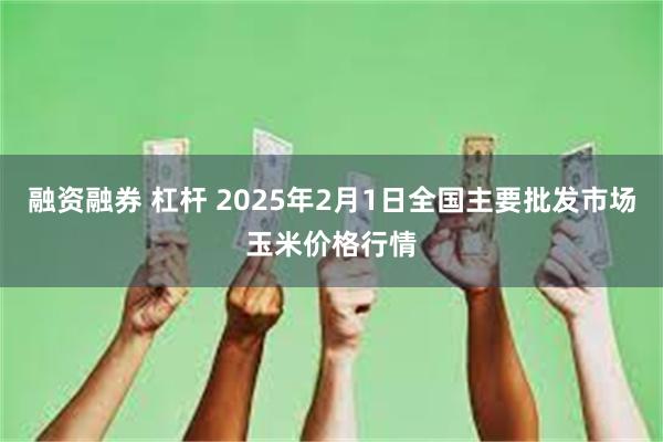 融资融券 杠杆 2025年2月1日全国主要批发市场玉米价格行情