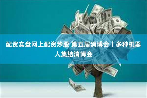 配资实盘网上配资炒股 第五届消博会丨多种机器人集结消博会