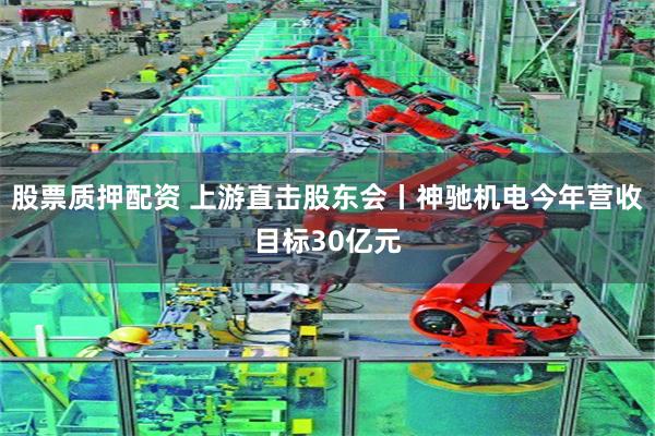 股票质押配资 上游直击股东会丨神驰机电今年营收目标30亿元