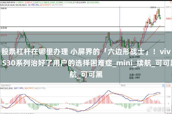 股票杠杆在哪里办理 小屏界的「六边形战士」！vivo S30系列治好了用户的选择困难症_mini_续航_可可黑