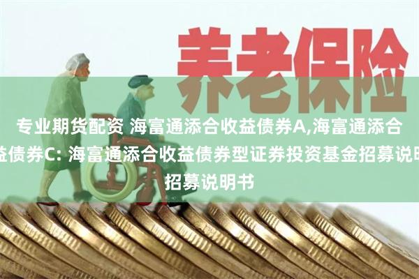 专业期货配资 海富通添合收益债券A,海富通添合收益债券C: 海富通添合收益债券型证券投资基金招募说明书