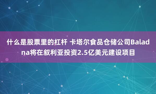 什么是股票里的杠杆 卡塔尔食品仓储公司Baladna将在叙利亚投资2.5亿美元建设项目