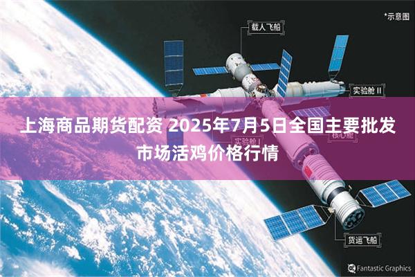 上海商品期货配资 2025年7月5日全国主要批发市场活鸡价格行情