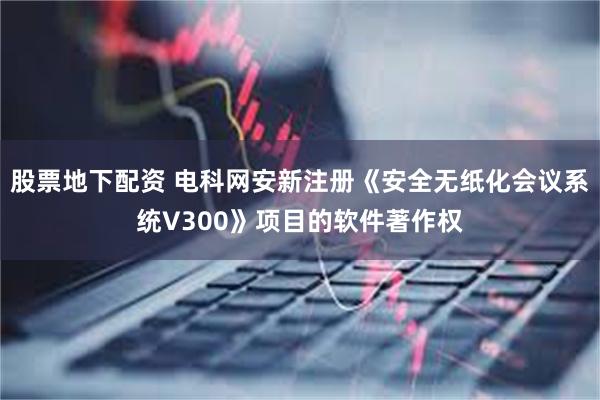 股票地下配资 电科网安新注册《安全无纸化会议系统V300》项目的软件著作权