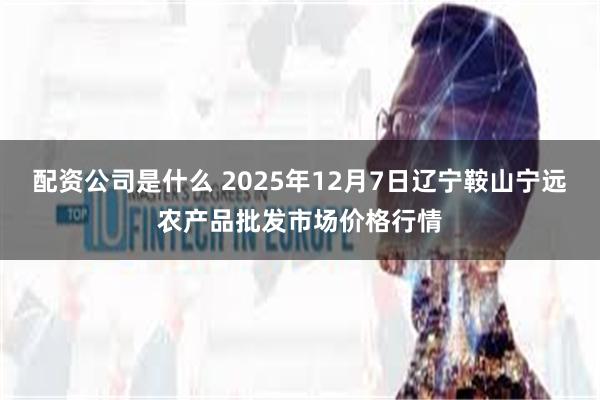 配资公司是什么 2025年12月7日辽宁鞍山宁远农产品批发市场价格行情