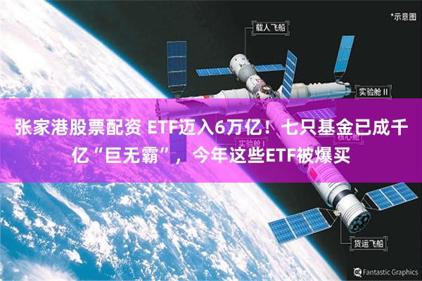 张家港股票配资 ETF迈入6万亿!七只基金已成千亿“巨无霸”,今年这些ETF被爆买